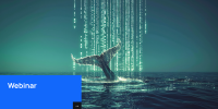 Webinar